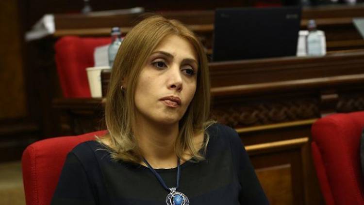 Դատաիրավական մեծ աղմուկ՝ զրո հետևանք. Էլինար Վարդանյան