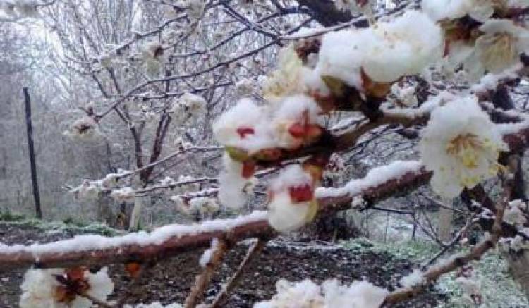 Ցրտահարման վտանգ կա. Մեղրիի համայնքապետարանը ահազանգում է