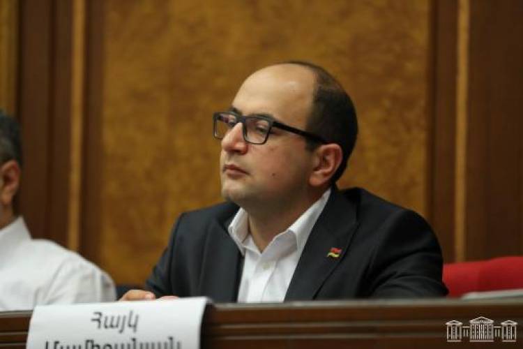 Եթե չես ուզում հայտնվել այս վիճակում, երբ քեզ չեն թողնում այցելել հայրենիքդ՝ պիտի ոտքի կանգնես․ Մամիջանյան