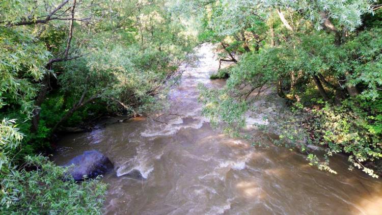 Blog Image