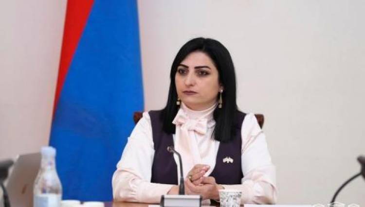 Ոստիկանները բիրտ ուժ են կիրառում․ գրություններ եմ ուղարկելու դատախազին և միջազգային գործընկերներիս․ Թովմասյան