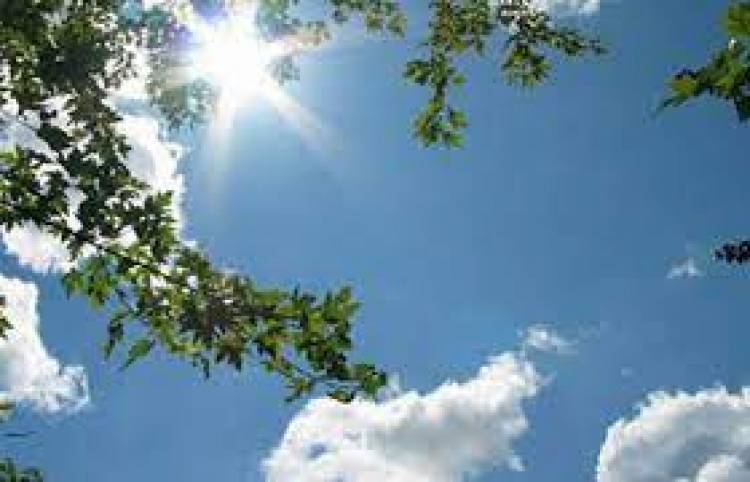 Blog Image