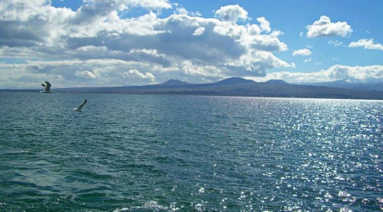 Blog Image