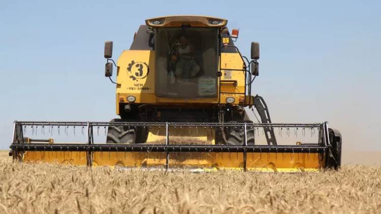 В МИД заявили, что участие Лондона в вывозе зерна с Украины не требуется
