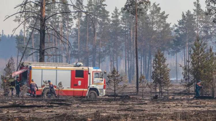 В Якутии ввели режим ЧС в районе, где лесной пожар перекинулся на село