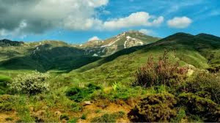 Հայաստանի տեսարժան վայրերը. ո՞ւր գնալ այս ամառ․  Վարդաբլուր լեռ (լուսանկարներ)