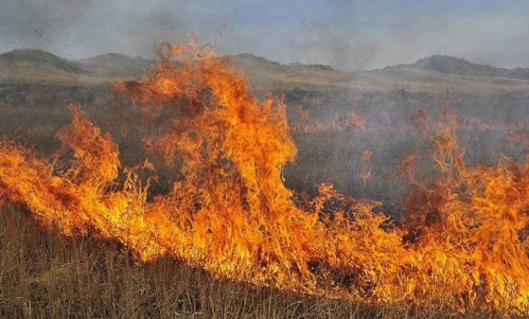 Առինջ գյուղից դեպի  «Ծիրանի» ռեստորան տանող հատվածում այրվել է մոտ 15 հա խոտածածկույթ