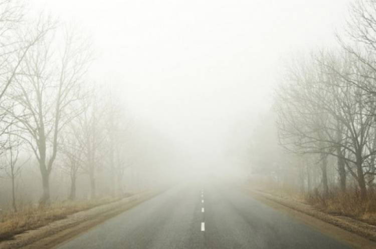 Blog Image