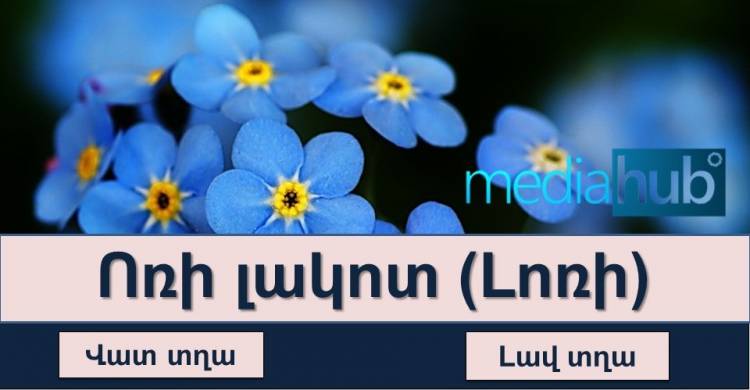 Թեստ․ իսկ դու տիրապետու՞մ ես մեր համով - հոտով բարբառներին