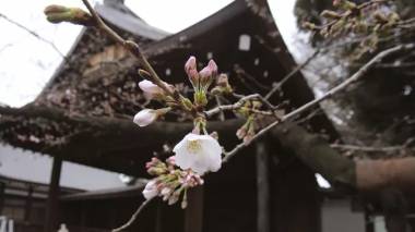 blog image