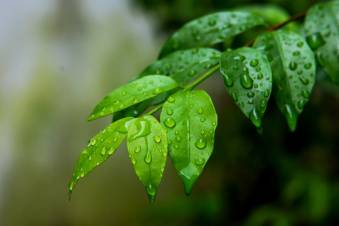blog image