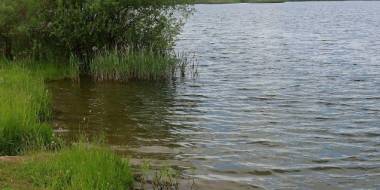 blog image