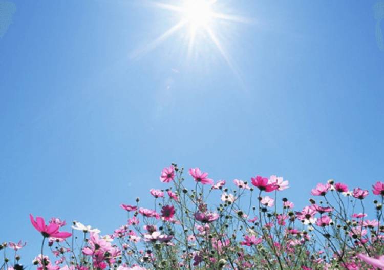 Blog Image