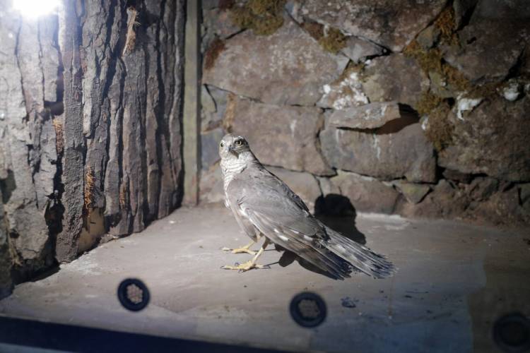 Blog Image