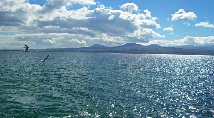 Blog Image