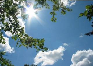 blog image
