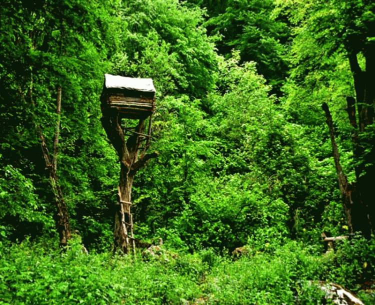 Blog Image