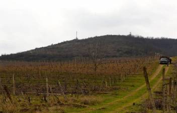 blog image