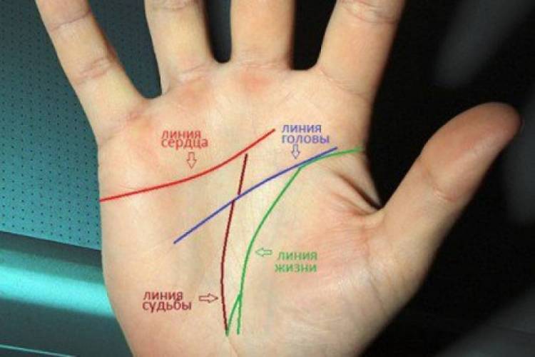 Blog Image