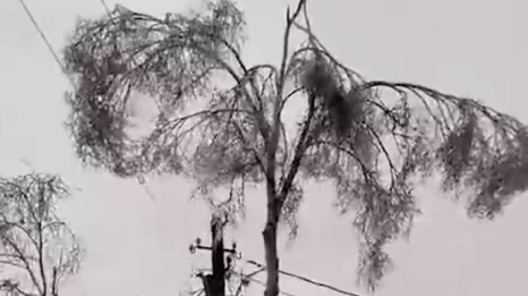 Տեսանյութ.ՌԴ քաղաքներից մեկում սառցե անձրևների պատճառով արտակարգ դրություն է մտցվել