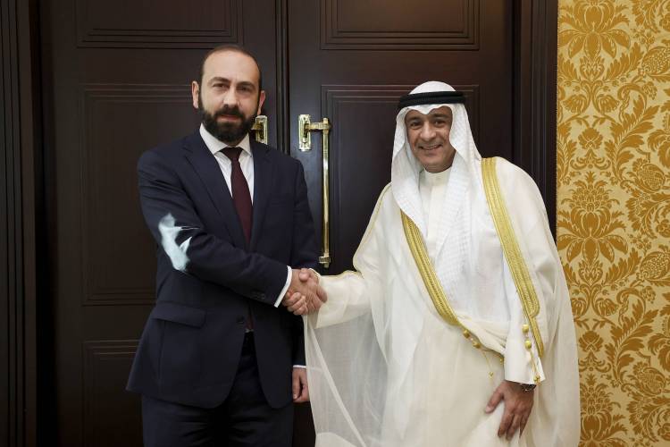 Միրզոյանը ԾՀԽ գլխավոր քարտուղարին է ներկայացրել տարածաշրջանում խնդիրների լուծման ՀՀ սկզբունքները