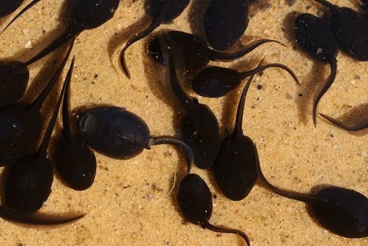 Blog Image