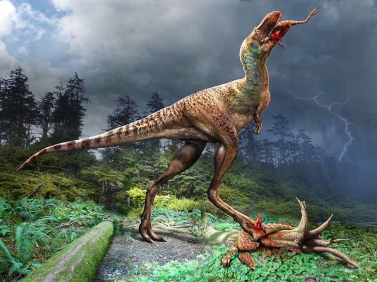Հայտնաբերված տիրանոզավրի ստամոքսում ձագ դինոզավրեր են գտնվել