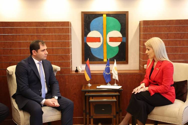 Սուրեն Պապիկյանը հանդիպել Կիպրոսի Ներկայացուցիչների պալատի նախագահի հետ․ մանրամասներ