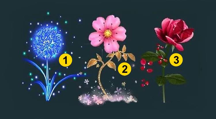 Ընտրեք մեկ ծաղիկ և իմացեք, թե ինչ է ձեզ սպասվում մինչև փետրվարի վերջ