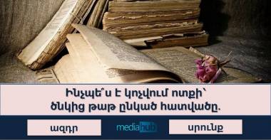 blog image