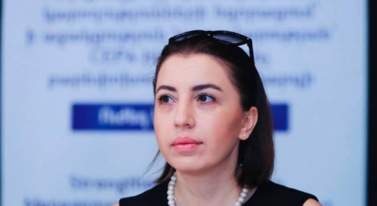 Ինչ գնումներ է կատարել Քրիստիննե Գրիգորյանը. «Հրապարակ»