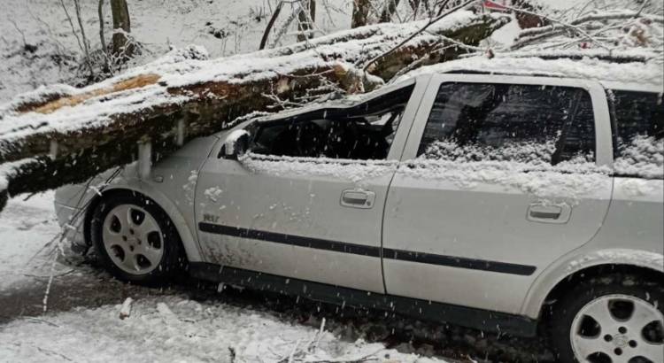 Ծառը կոտրվել ու ընկել է մեքենայի վրա (լուսանկար)