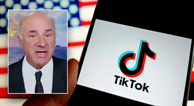 Կանադացի միլիոնատերը ցանկանում է գնել TikTok-ը 90% զեղչով․ մանրամասներ
