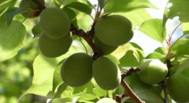 blog image