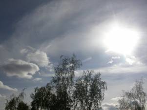 blog image