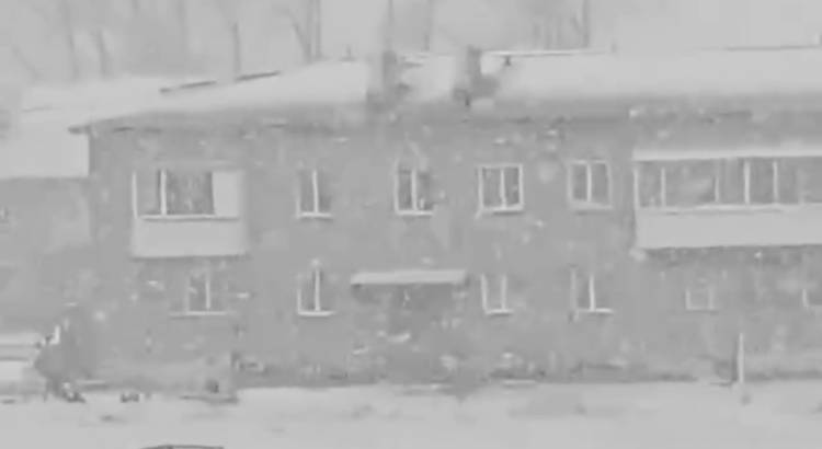 Ձյուն է տեղացել Նովոսիբիրսկի և Տոմսկի մի քանի գյուղերում (տեսանյութ)