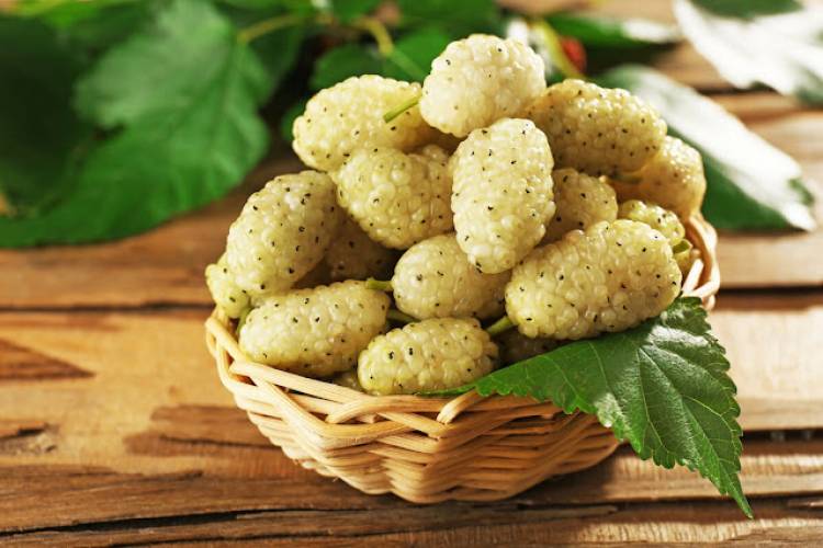 Հրաշք մթերք, որն օգնության կհասնի մի շարք խնդիրների դեպքում