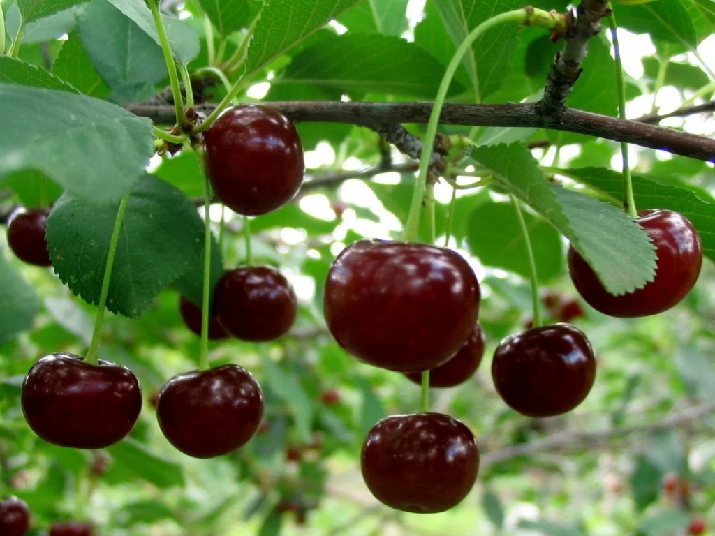 blog image