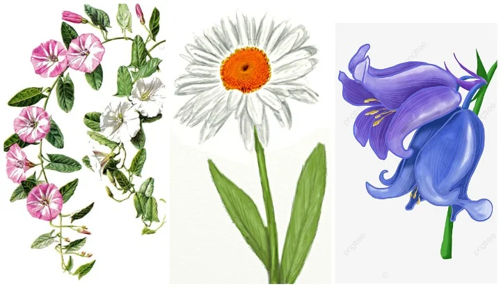 blog image