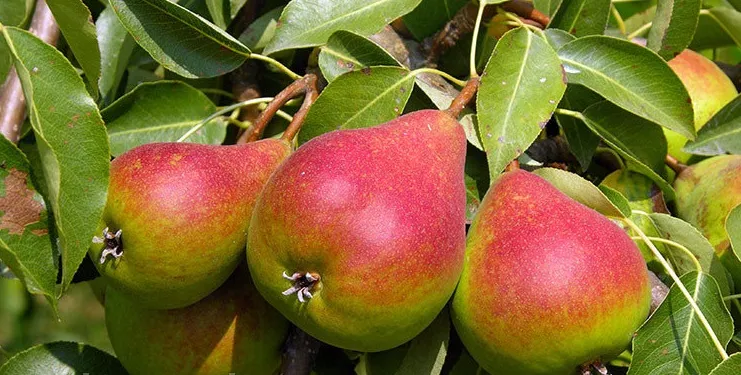 blog image