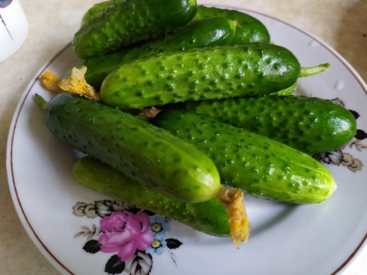 Ամեն օր թարմ վարունգ ուտելու 5 պատճառ