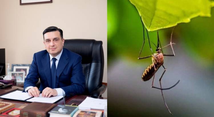 Ի՞նչ է Արևմտյան Նեղոսի տենդը․ բժշկական համալսարանի ռեկտորը մանրամասնել է