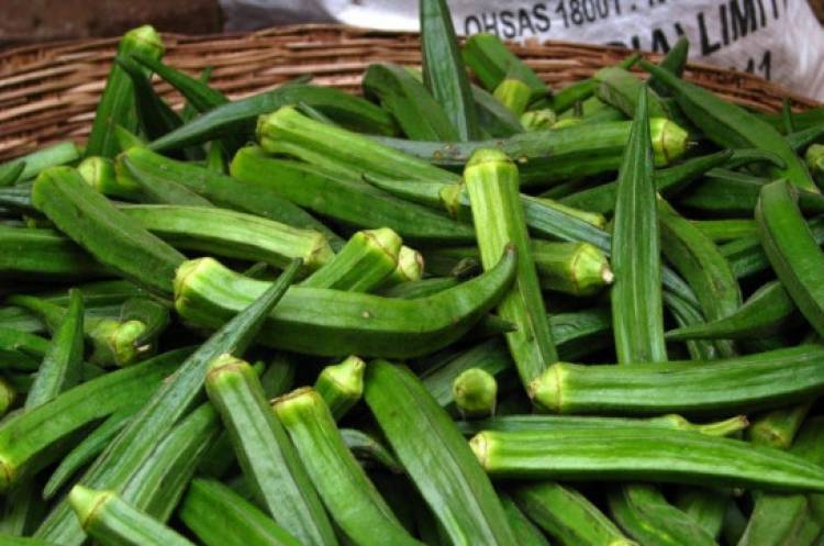 Օգնում է ամրացնել սիրտը, տեսողությունը, բարելավել խոլեստերինի մակարդակը. բամիայի ամենաօգտակար հատկությունները