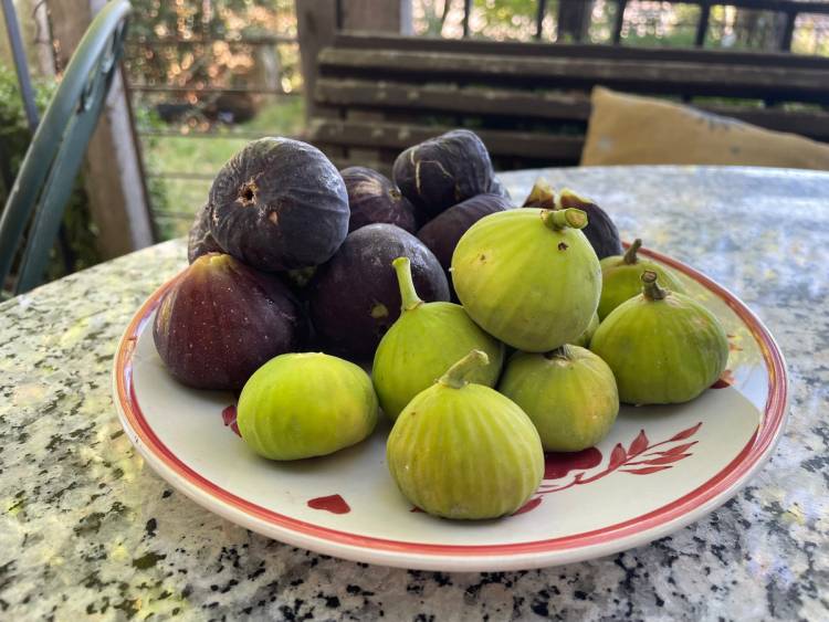 Ինչո՞ւ որոշ վեգաններ թուզ չեն ուտում
