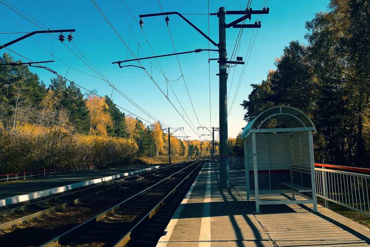 Blog Image