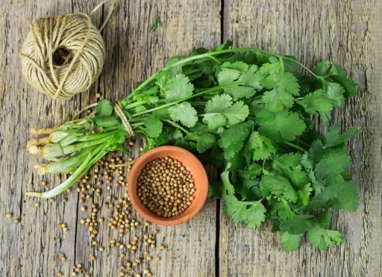 Համեմի 7 օգտակար հատկություն, որի մասին քչերը գիտեն