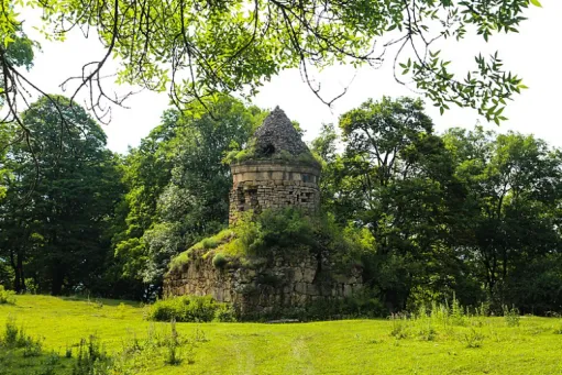 blog image