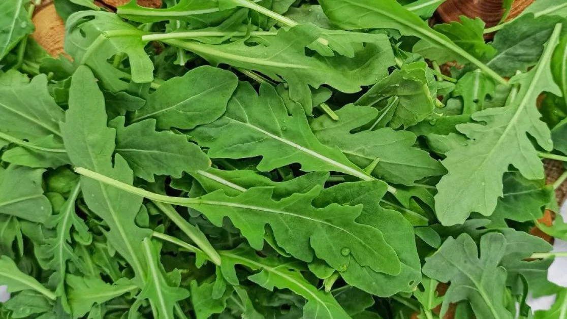 blog image
