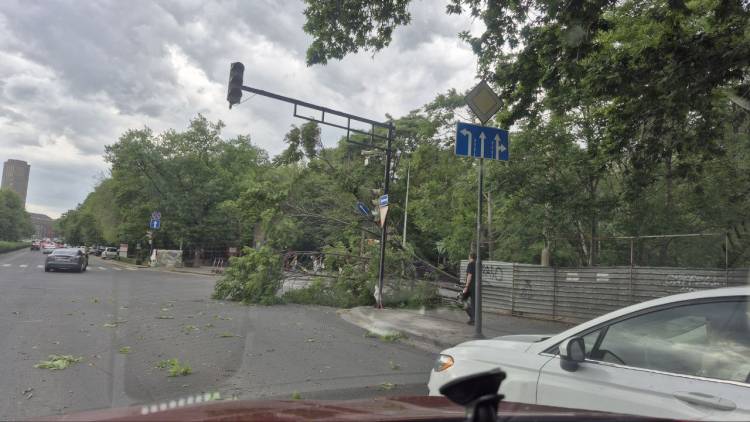 Տեսանյութ.Երևանում ուժեղ քամի է, քաղաքը փոշու մեջ է, կան տապալված ծառեր