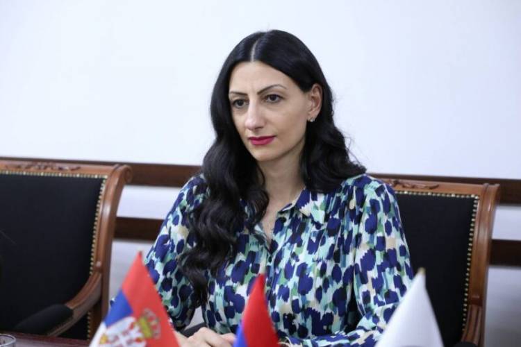 Խնդիրներ կան, պետք է օրենսդրական բարեփոխումներով հաղթահարվեն․ ՄԻՊ
